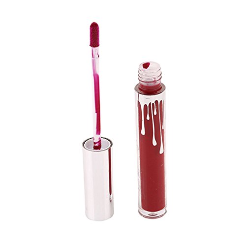 VWH 4 Farben Wasserdichte langlebige Matte Flüssigkeit Lipgloss Lippenstift Kosmetik - 4