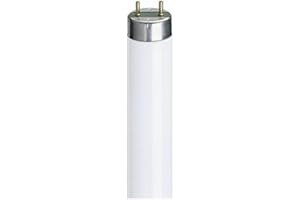 1149mm 54w T5 HO tubo Col 840 bianco freddo (GE Lighting)