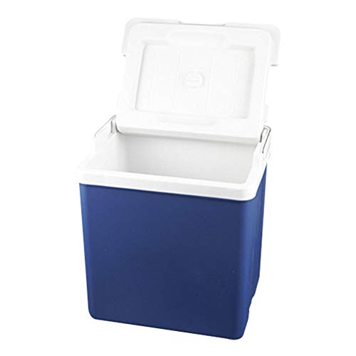 Lâ Vestmon Refrigeratore Elettrico Coolbox 10L, Frigo Frigorifero per Auto Cool Box Frigo per Viaggi e Picnic