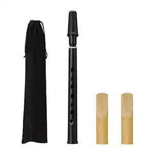 Honeytecs Black Pocket Sax Mini Portable Saxophone Little Saxophone with Carrying Bag Woodwind Instrument