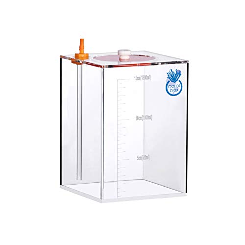 Coral Box - Contenitore dosatore da 1500 ml