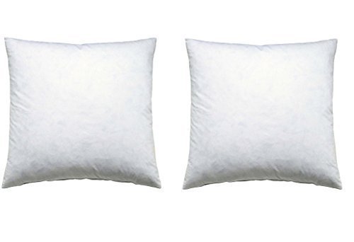 2 X Federkissen 50x50cm Kissenfüllung, Innenkissen, Kissen 600g Füllung Füllkissen /Federkissen/Sofakissen 2-er SET