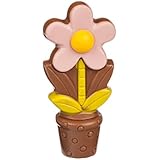 Flor de chocolate con maceta - Rosa