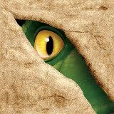 Dinosaur Party - Dino Blast Dinosaur Party Beverage Napkins x 16