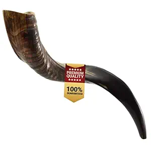 SHOFAROT ISRAEL BARSHESHET - RIBAK Full Polish Kosher Yemenite Kudo kudu Mini Shofar Size 21-