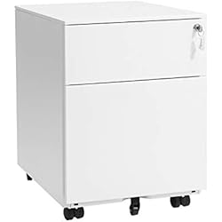 SONGMICS Mueble Archivador de Metal, con Cerradura Cómoda de 2 Cajones, Cajonera con Ruedas, Cuerpo del Armario Premontado, para Uso de Oficina, 52 x 39 x 54 cm, Blanco OFC50WT