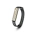 Produktbild Misfit Wearables Ray Sport Bracelet for monitoring of activities (Gold with Black sports band)