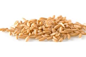 Faunamix Avena pelada - Semilla para Aves y roedores (1 kg)