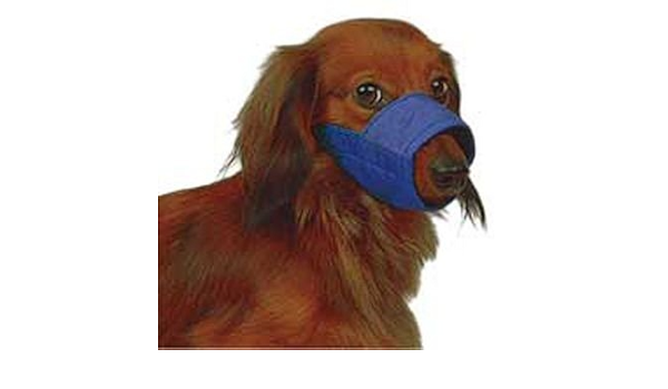 four flags over aspen quick muzzle