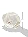 Rumparooz Newborn Aplix Cloth Diaper Cover, White