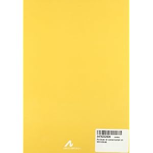 Políticas de conservación en bibliotecas (Instrumenta bibliológica)