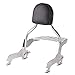Produktbild Sissy Bar CL mit Gepäckträger für Harley Fat Boy 114 18-19 Edelstahl