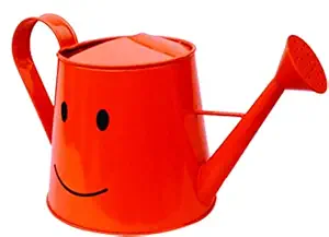 Railing planter impex Eyes Smile 3 litres Metal planters Round Watering Can - Rust Free Home Decor Gifting, Garden, Gardening, Tools (Pack of, 1,Eyes Orange)