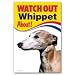 Produktbild Whippet Hund Geschenk - Watch Out - Warnschild 22,9 x 15,2 cm