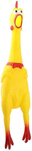 Novelty toys A Great opera house Screaming chicke