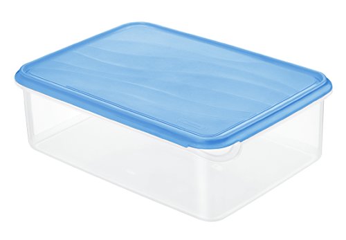 Rotho 1714006644 Frischhaltedose Rondo rechteckig aus Kunststoff PP, BPA-frei, hochwertig, geeignet für Spülmaschine und Gefrierschrank, 5 L, circa 31,5 x 24 x 10 cm, transparent / blau