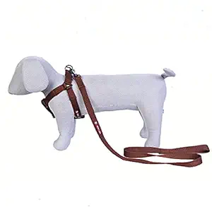 Pets Like Spun Poly V Harness with Leash Set Brown (Small)