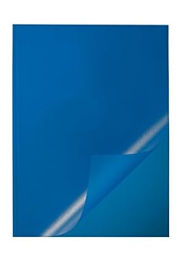Durable 291906 Boite de 50 Chemises pour Baguettes à reliure Bleu