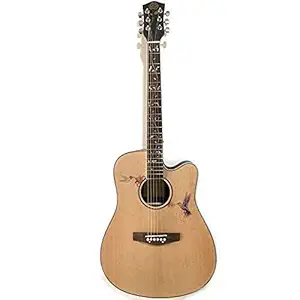 NIAM Acoustic Guitar with gig Bag