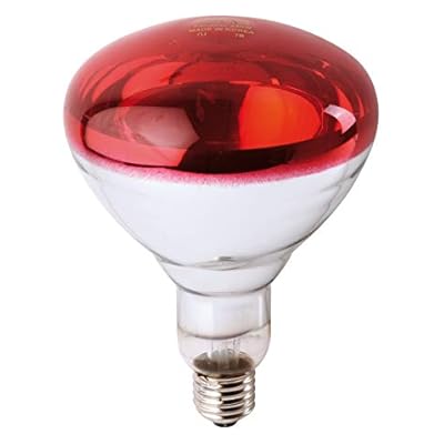 GIMA 28654 Bulb, for Infrared Therapy Lamp, 250W