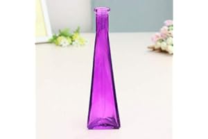 Young21 Couleur Clair Mini Vase en Verre Zakkz Fleur Bouteille Ornements en Verre Fleur Arranger Décor À La Maison - Violet