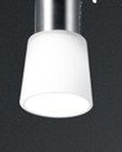 Trio Leuchten Lampenschirm Ersatzglas G9 92411 G9