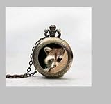Waschbär Anhänger Taschenuhr, Waschbär, Halskette Taschenuhr Charme, Waschbär, Anhänger Taschenuhr Glass Tile Schmuck, Glas Waschbär, Armbanduhr, Waschbär, potphoto