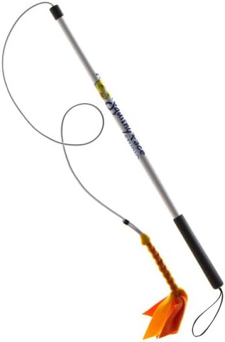 Squishy Face Studio Flirt Pole V2 Dog Exercise Toy with Orange/Yellow Fleece Lure, 36-Inch by Squishy Face Studio