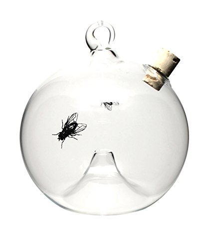 Fliegenfalle Obstfliegenfalle aus Glas hängend rund Fliegenfallen von GlasXpert