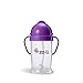 ZoLi Bot Straw Sippy Cup (270 ml, Purple)