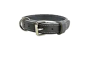 Realm Dog Collar, Black (DG003)