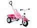 Produktbild Puky 2339 - Carry Touring Kipper Luft