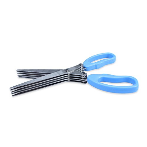 Edealing 1 PCS New Stainless Steel Scallion Frühlingszwiebel Gemüse Shredder Hobel Cutter 5 scharfen Klingen - 2