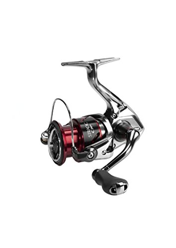 Preisvergleich Produktbild Shimano Stradic CI4+ 1000 HG FB, Angelrolle, STCI41000HGFB