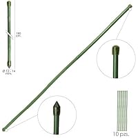 Amazon.es: Soportes para plantas: Jardín