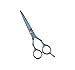 Professional Hairdressing Barber Salon Scissors 5.5"