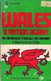 Front cover for the book Wales: A Nation Again by Peter Berresford Ellis