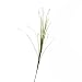 Produktbild Künstliches Bärenfellgras Blütenrispen KENAI, creme, 70 cm, Ø 20 cm - Deko Grasbusch / Kunst Gras - artplants