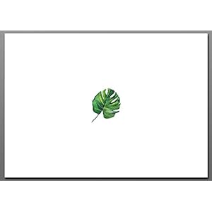 Postkarte / Minimotiv No 4 Monstera Blatt