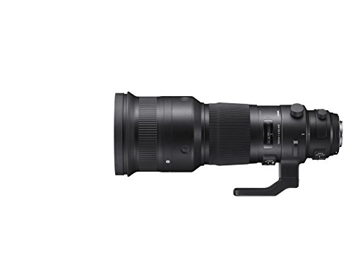 Sigma 500 mm F4 DG OS HSM Sports Mount Lens - Black - Image 3