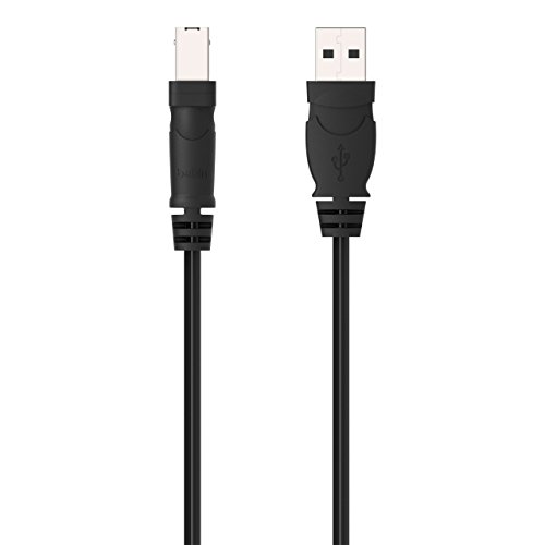 Belkin Pro-Serie Hi-Speed USB 2.0-Kabel USB-A auf USB-B für Drucker, Scanner und externe Festplatten (1,8m), schwarz - 3