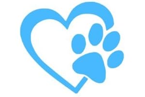 LAOSEP StickerBorough - Adesivo in vinile, a forma di cuore con impronta di zampa di cane, da 10,16 cm, ideale per auto, camion, finestre, pareti, computer portatili, disponibile in vari colori