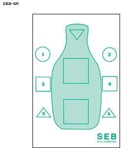 SWAT TEAM SEB TRAINING TARGET IN GREEN 100 PACK by Law Enforcement Targets