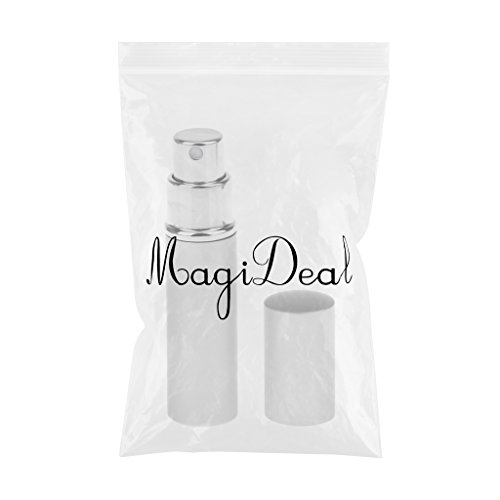 Portable 6 Ml Nachfüllung Leere Flasche Parfümzerstäuber Pumpspray Sprühflasche Pumpe Duft Spray – Silber - 2