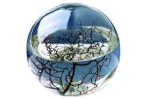 ‎ECOSPHERE Ecosphere Kugel mit Garnelen KaRoFoilFix