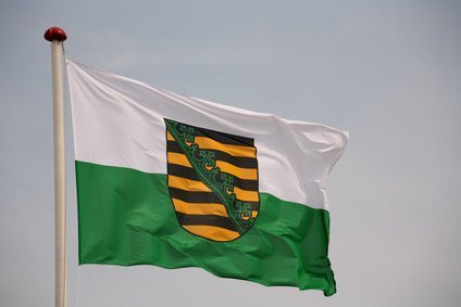 Landesflagge Sachsen Fahne Flagge 150x90 Wetterfest