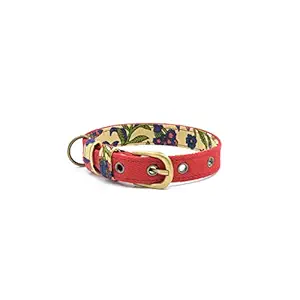 PetWale Red Dog Collar (Size: Small)