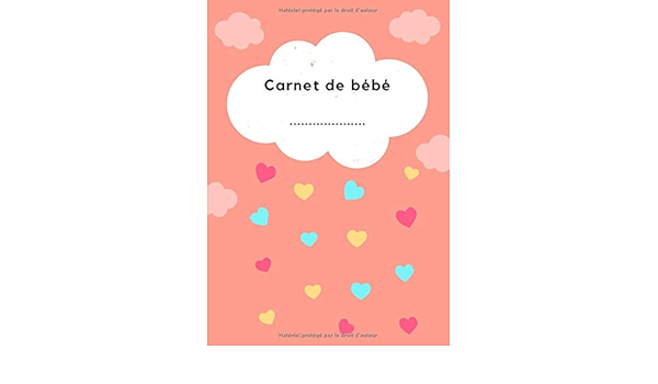 Amazon Fr Carnet De Bebe Carnet A Remplir Pour Ses 100 Premiers Jours Parentalite Et Organisation Parentale Papeterie Livres