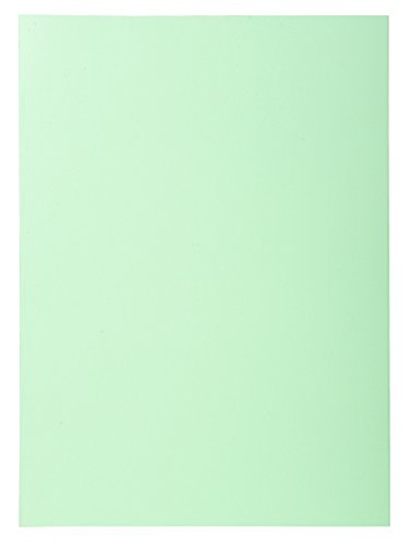 Exacompta 850000E - Lote de 250 Subcarpetas Super 60 Colores Surtidos reviews Exacompta 850000E - Lote de 250 Subcarpetas Super 60 Colores Surtidos