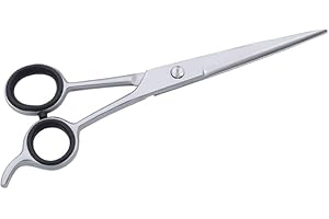 SS INSTRUMENTX forbici parrucchiere professionali, forbici capelli in acciaio inossidabile per taglio di precisione, forbici barbiere per parrucchiere e uso domestico, perfette per taglio dei capelli